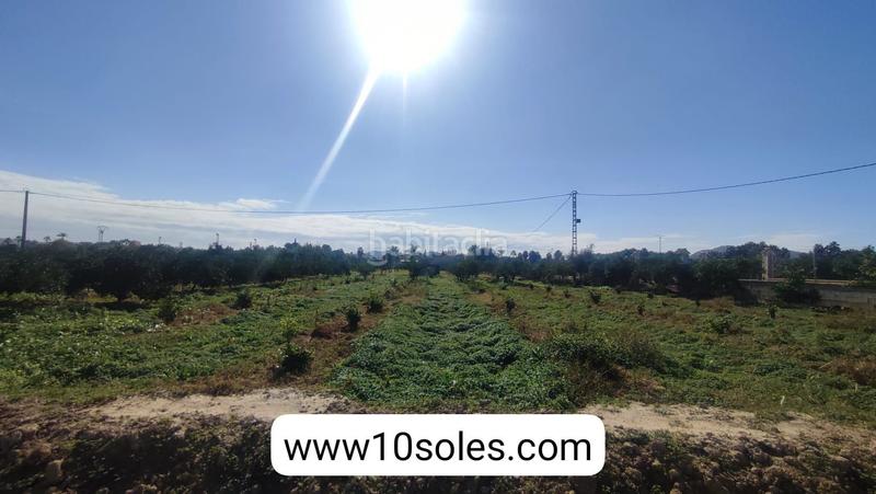 Foto 8a7d682e-4b6e-4e92-98a1-a96b85778479. Finca rústica parcela rustica en venta en Jacarilla