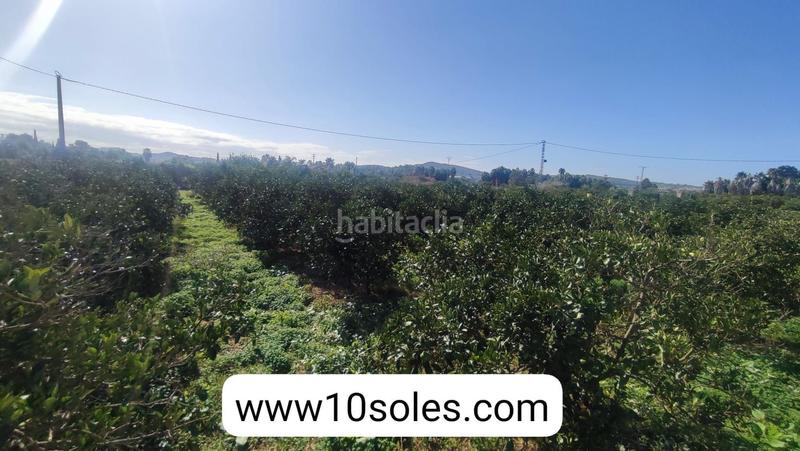 Foto b373b43a-0b3a-4278-acef-3457c3955edf. Finca rústica parcela rustica en venta en Jacarilla