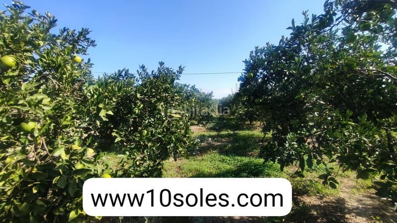 Foto e829023a-a96f-4465-952b-34cc0a4a0ef5. Finca rústica parcela rustica en venta en Jacarilla