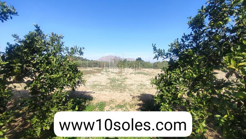 Foto f4d63c55-39a6-411f-812b-2d435ac3455f. Finca rústica parcela rustica en venta en Jacarilla