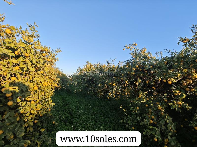 Foto 017594c1-947a-420a-a218-c19e627237f8. Landgut in Desamparados - Hurchillo - Torremendo Orihuela