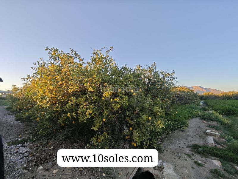 Foto 3227e315-3b53-4efc-82ca-750f1f54112d. Landgut in Desamparados - Hurchillo - Torremendo Orihuela