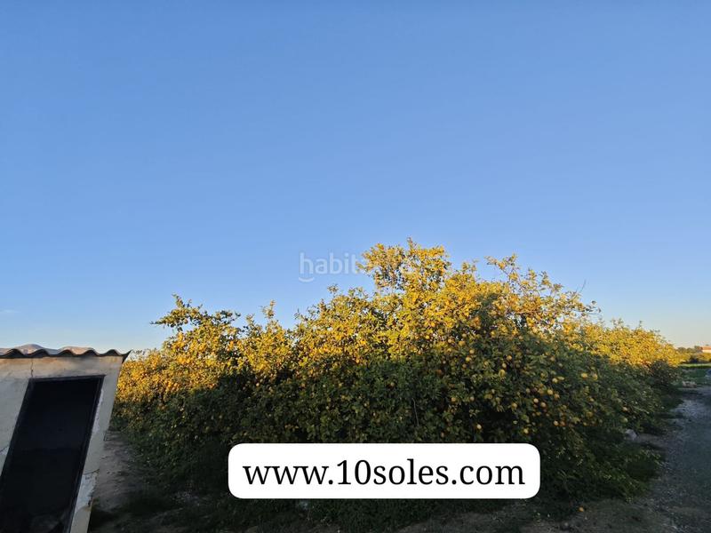 Foto 961f944e-92c2-424c-a643-e9f4a8886c60. Landgut in Desamparados - Hurchillo - Torremendo Orihuela