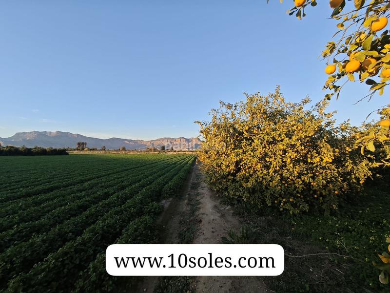 Foto af13e0d1-afc3-460f-9df5-c7abe0aab1d6. Landgut in Desamparados - Hurchillo - Torremendo Orihuela