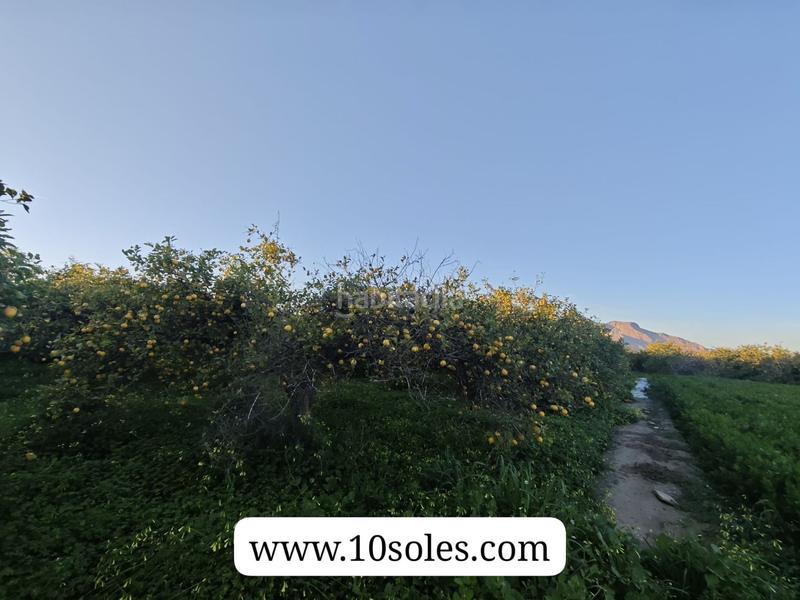 Foto b0815696-af94-4804-80b3-5077475ddb62. Landgut in Desamparados - Hurchillo - Torremendo Orihuela