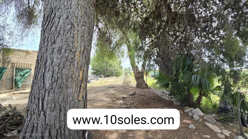 Foto 48f04534-cf65-40e5-9370-fd848b7fe899. Finca rústica a Callosa de Segura