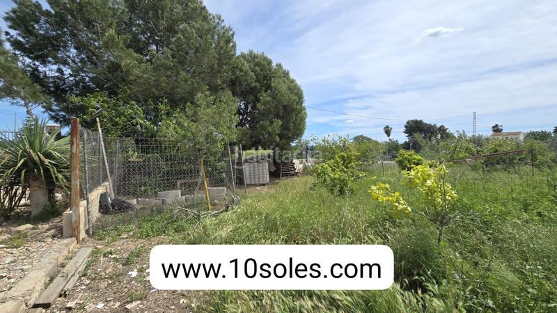 Foto 6da762e3-80d5-4d10-88c8-0e7c3cd299f5. Finca rústica a Callosa de Segura