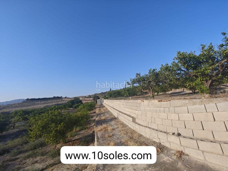 Foto bd0b2ff8-bb07-46d5-9fe7-b70de7169e25. Propriété dans Desamparados - Hurchillo - Torremendo Orihuela