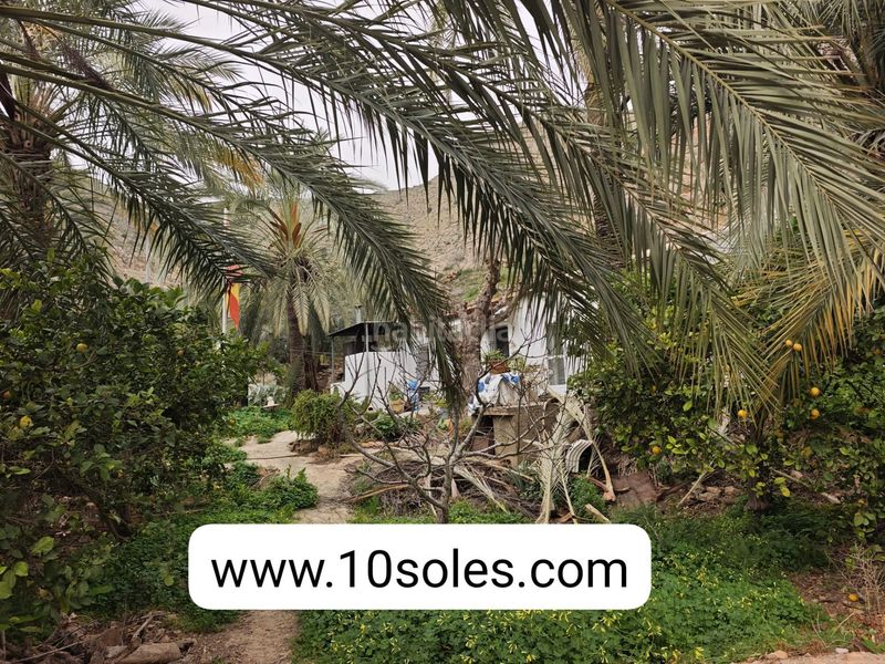 Foto 17a8924e-538f-4c70-bce4-a4d5b2956ca7. Casa chalet con piscina en venta pedanías, raiguer de bonanza en Orihuela