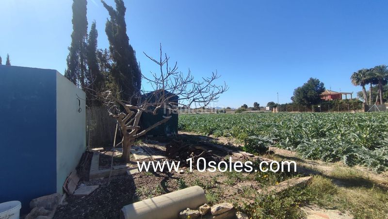 Foto 41d99cf6-434a-434b-873b-8da74977d732. Casa a Orihuela ciudad Orihuela