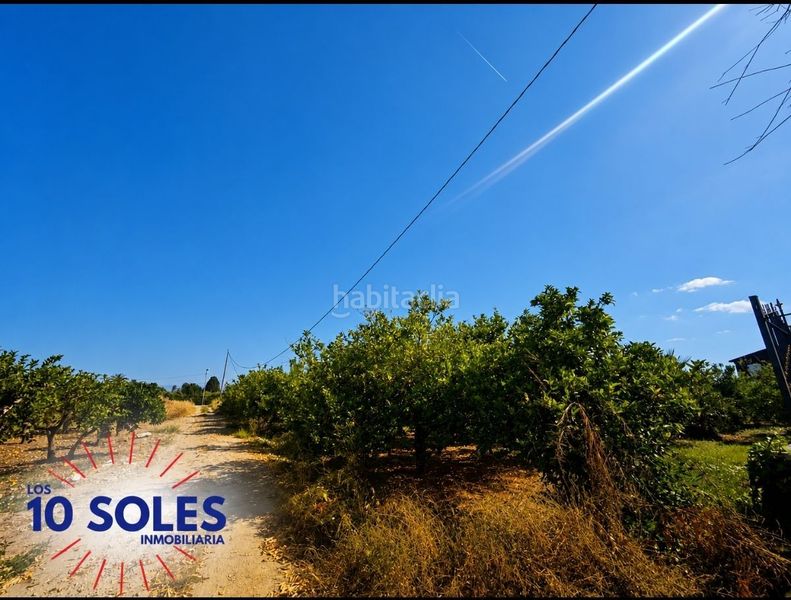 Foto 9b397da8-9be6-48e4-91c8-a08be0459908. Finca rústica a Molins - Campanete - San Bartolomé Orihuela