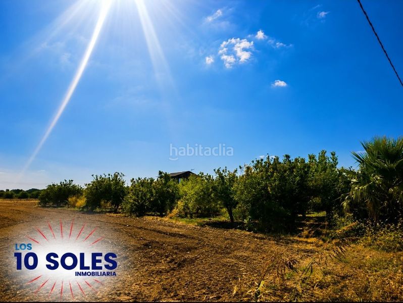 Foto bf6cc7d5-70d2-4fd4-b6ee-60cc02b7f757. Finca rústica a Molins - Campanete - San Bartolomé Orihuela