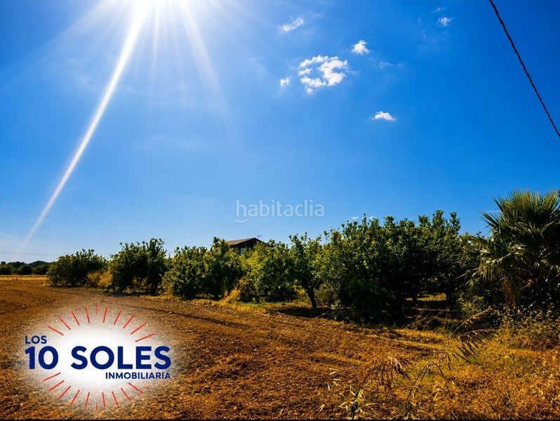 Foto e5bf9712-f6b9-4991-be54-faacc017c492. Finca rústica a Molins - Campanete - San Bartolomé Orihuela