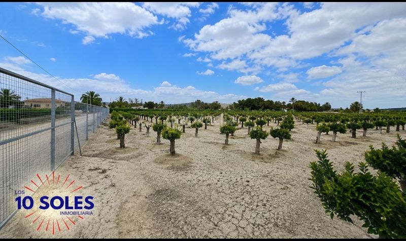 Foto 08cff096-a25a-4b7f-a2c4-33fda31b19ef. Finca rústica a Jacarilla