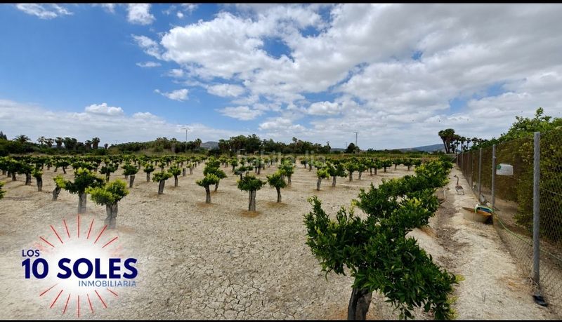 Foto 48363dd1-c78f-41e2-947d-63abc19fc334. Finca rústica a Jacarilla