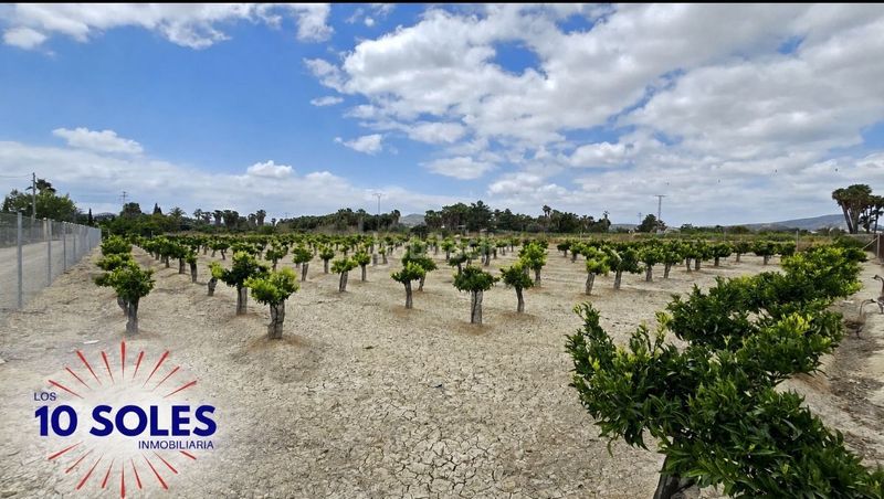Foto b54ac344-1be5-4d35-b641-7408abb4a82f. Finca rústica a Jacarilla