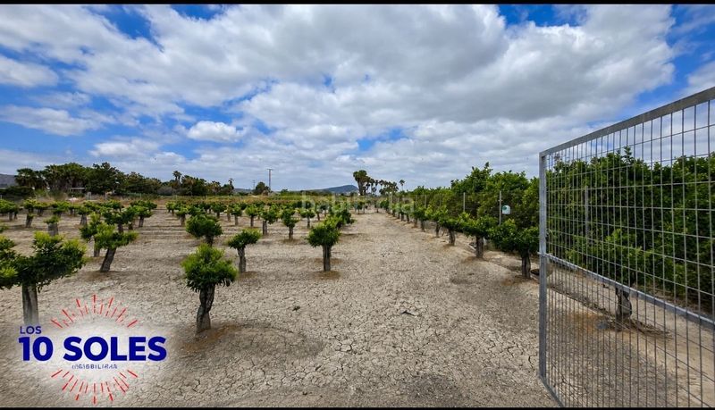 Foto c4b9773d-0e98-42c7-8e48-c619952beab0. Finca rústica a Jacarilla