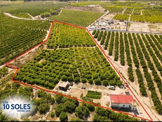 Landgut in Jacarilla. Finca rústica en venta en jacarilla  15.025 m con limoneros, agu