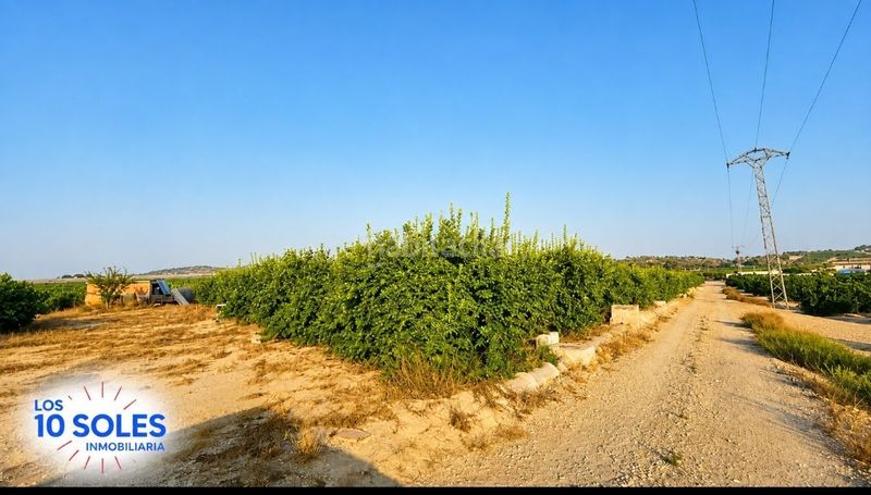 Foto 5569a4c8-f5b0-447f-9d77-a58293333fa1. Finca rústica a Jacarilla