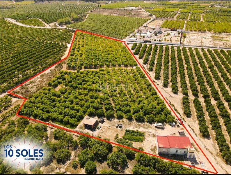 Foto 7b6fc6f3-796d-41d4-9308-44feef794bae. Finca rústica a Jacarilla