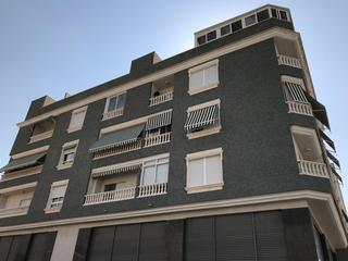 Local Comercial  Carrer puig coronat