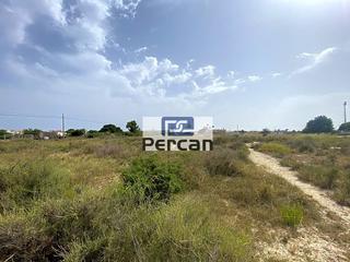 Finca rstica  Diseminado diseminados. Este terreno rustico se encuentra en olla ramos en el camino de