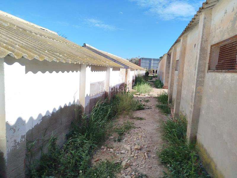 Foto 28603622-0ff6-40c9-b9be-1c9c6f199ab7. Terrain résidentiel dans Campello Pueblo Campello (el)