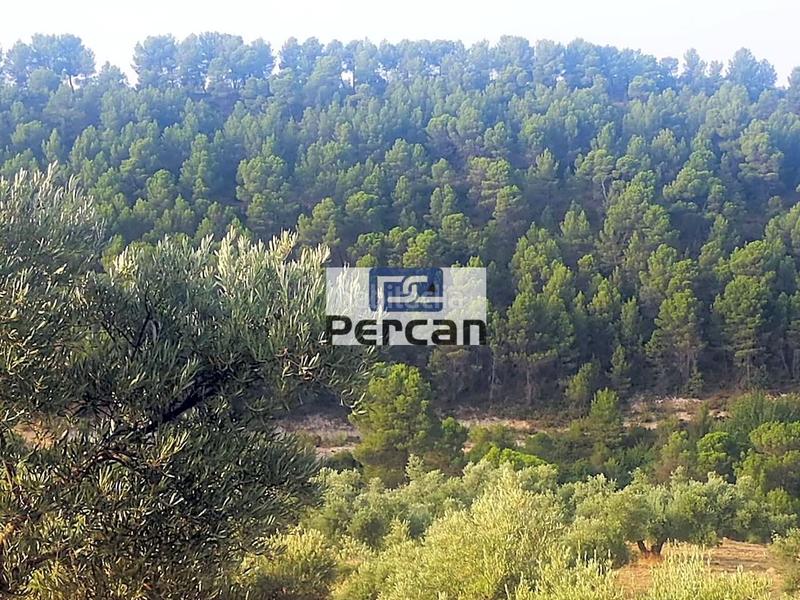 Foto 1bf5473c-b49f-432d-a5fa-b3cb44dbfaf0. Terreny residencial a Cortes de Baza