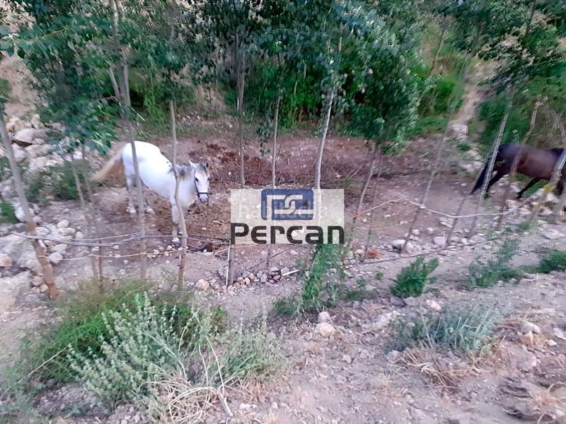 Foto 2b4f81de-199b-484a-9bc0-f9e8118644cb. Terreny residencial a Cortes de Baza