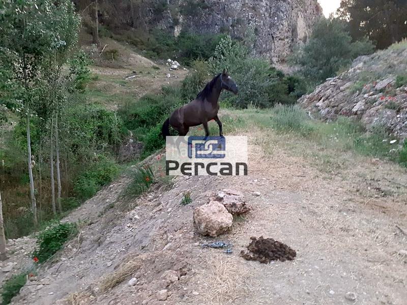 Foto 2e551556-5b9d-453c-bf2a-52f05a7df5f1. Terreny residencial a Cortes de Baza