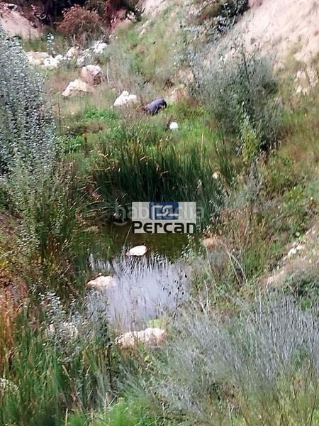 Foto 8d032902-ae37-42a5-a74e-d5732322fe15. Terreny residencial a Cortes de Baza