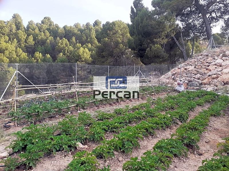 Foto 9420a89c-4e29-4410-9100-90b4264a61b7. Terreny residencial a Cortes de Baza