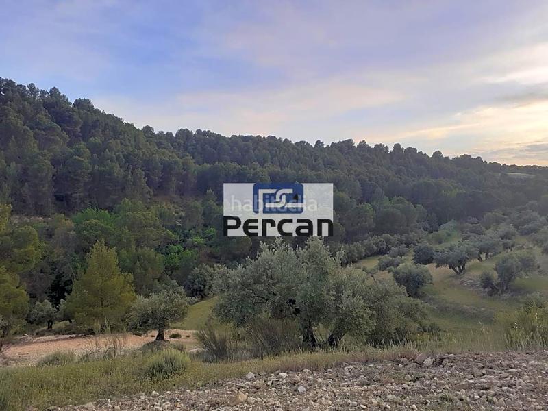 Foto a510fe38-3c7e-4f05-b109-35a6e576babe. Terreny residencial a Cortes de Baza