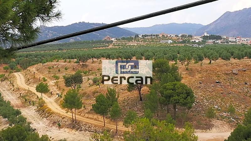 Foto a7a5466e-810c-463f-821f-b3acc29f3fc1. Terreny residencial a Cortes de Baza