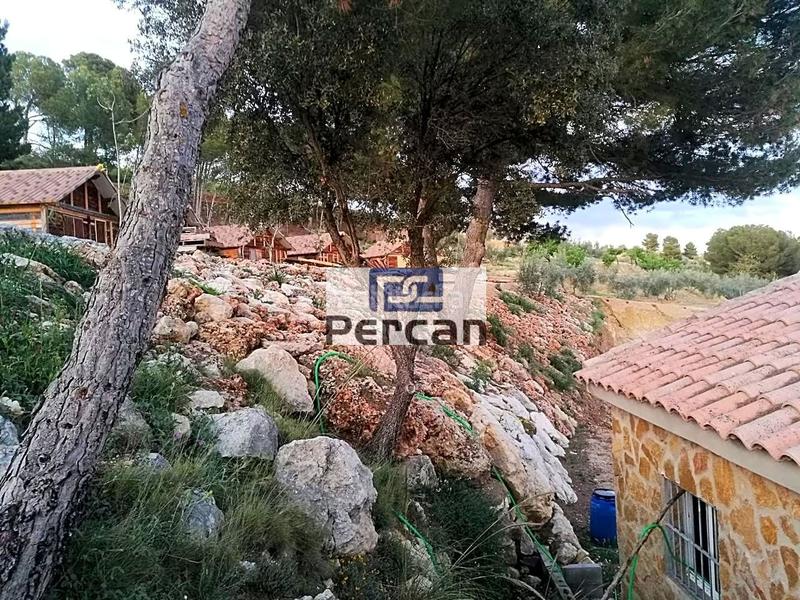 Foto dd023545-c3e4-4c7a-9d69-47d5b280d2e7. Terreny residencial a Cortes de Baza