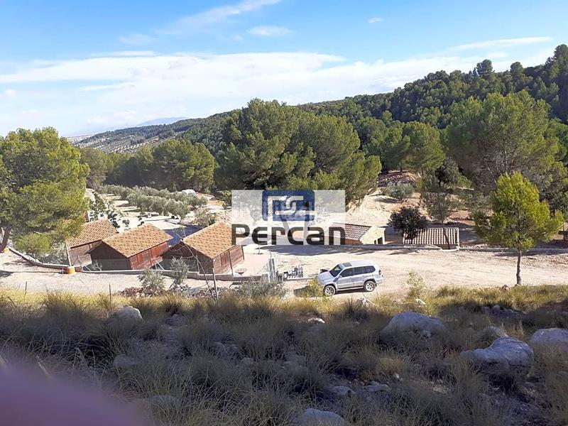 Foto e1cf6141-b9d2-4044-bad7-acb869704157. Terreny residencial a Cortes de Baza