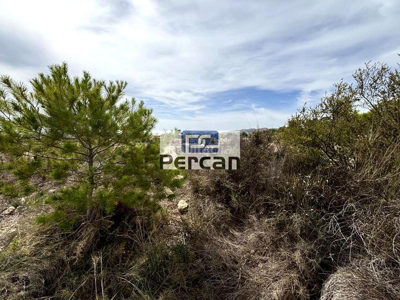 Foto 068c5fd0-68f0-4f31-b5e4-167545305982. Residential plot in Aigües