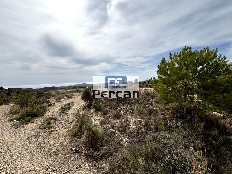 Foto aaa29f5b-d961-4b96-a7de-b946bee44c1a. Residential plot in Aigües