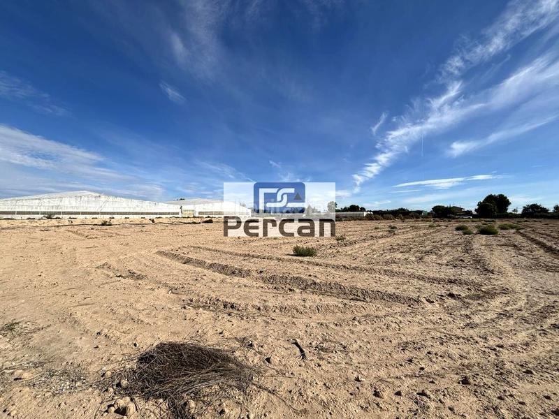Foto 8ae1f5dc-5b35-41c2-a334-55394eb17cb6. Terreno residencial en Jubalcoi Elche / Elx