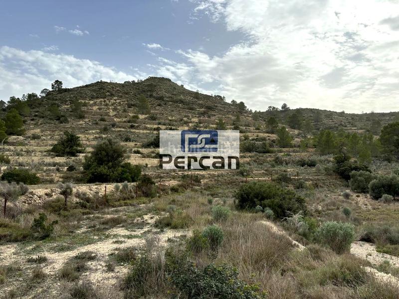 Foto 3fbac8b5-7b01-4646-857f-dc3a6d6fa84e. Finca rústica a Aigües