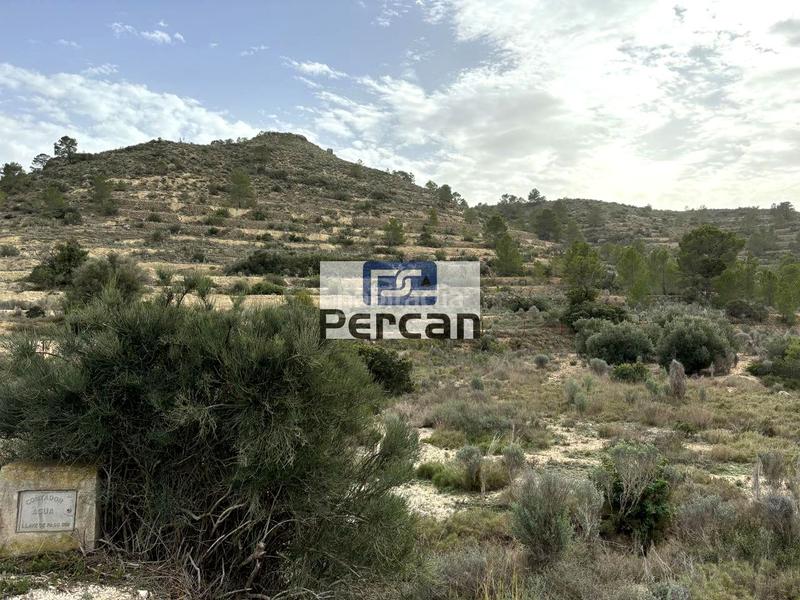 Foto 4ef9e763-97f4-4981-ab20-0d8361d90ed1. Finca rústica a Aigües