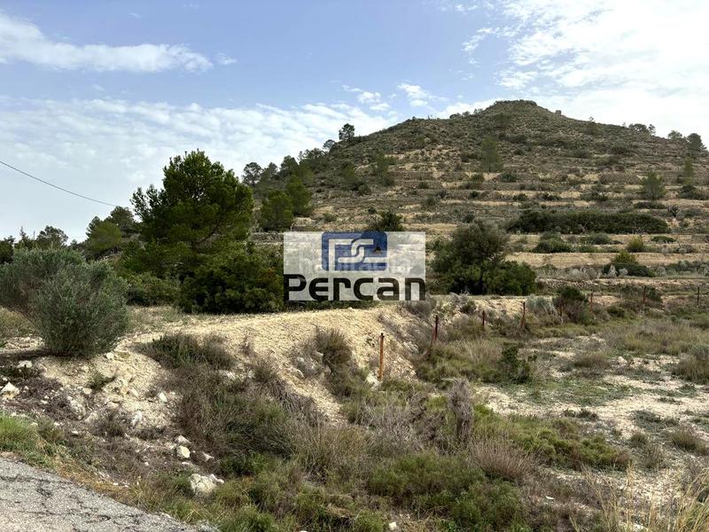 Foto 5b3e2e82-4267-4b36-aad2-6b8a5d4de934. Finca rústica a Aigües
