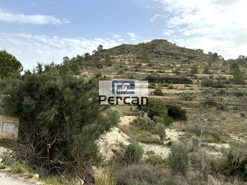 Foto 8b760fd5-95e8-4a26-af5b-0b0f7eea6270. Finca rústica a Aigües