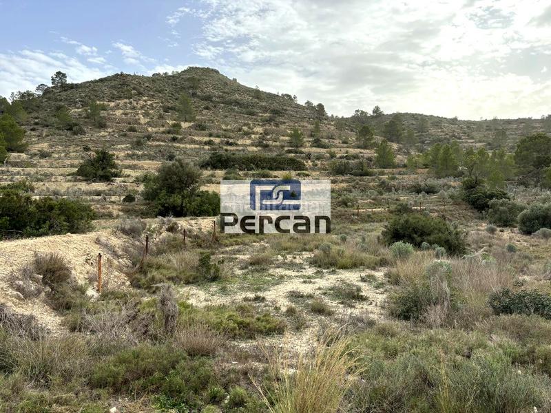 Foto d4ce071e-efc8-47b4-b49a-6ad2e83992b4. Finca rústica a Aigües