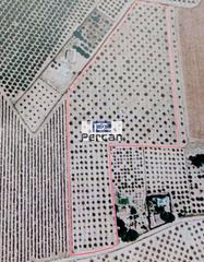 Terreny residencial  Mariscal