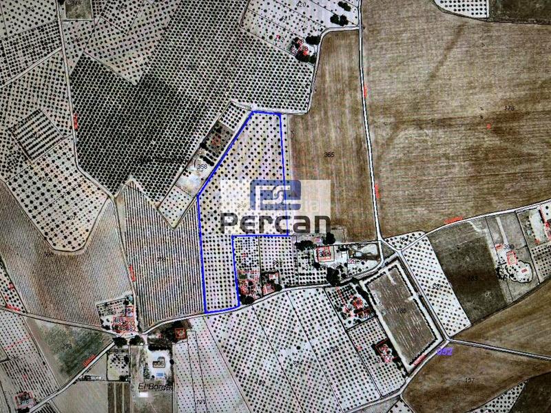 Foto 95790d26-b11f-4917-a585-95a7d359a1cb. Terrain résidentiel dans Las Tiesas Villena