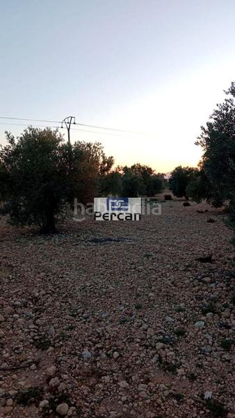 Foto 2cb81230-01be-47b7-a0ab-63e4c56c529c. Terreno residenziale in Las Tiesas Villena