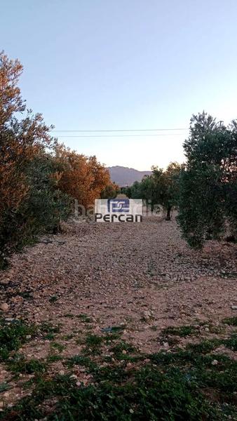 Foto 339f195a-2f4d-419a-add2-77b66f87872d. Terreno residenziale in Las Tiesas Villena