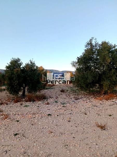 Foto 444aec2e-b559-40bb-a5f1-791b4055a5b1. Terreno residenziale in Las Tiesas Villena