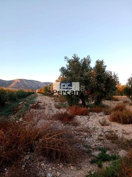 Foto 68c7d2f6-85a2-4ec3-8fb9-bbe52a209d80. Terreno residenziale in Las Tiesas Villena